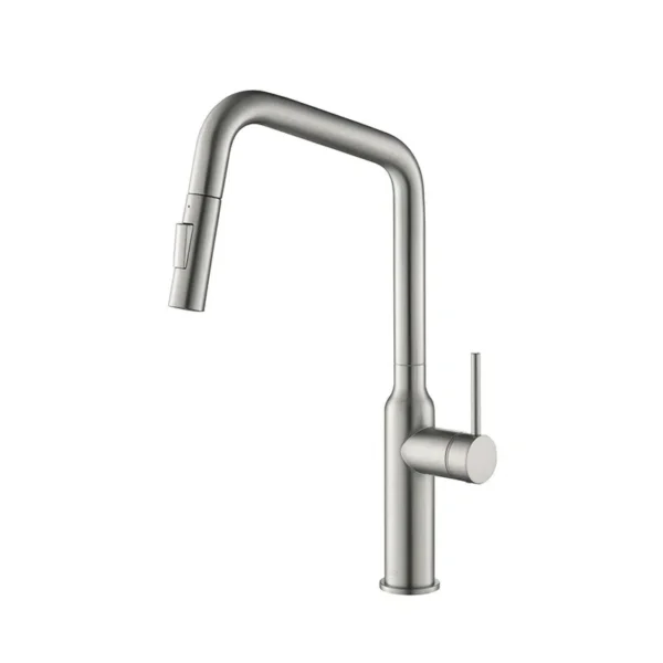 Kitchen Faucet with sprayer